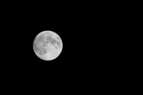 Moon (Gieterveen, the Netherlands)